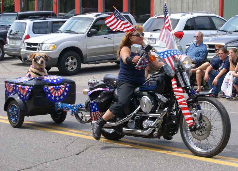 dog in parade