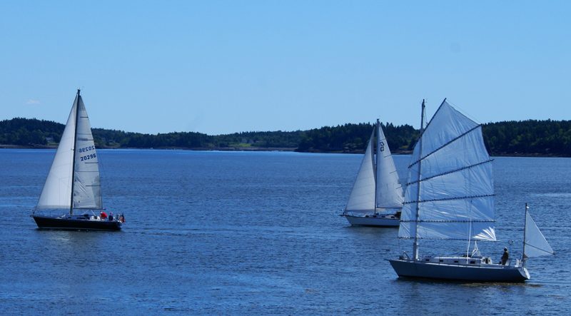 sailboat race